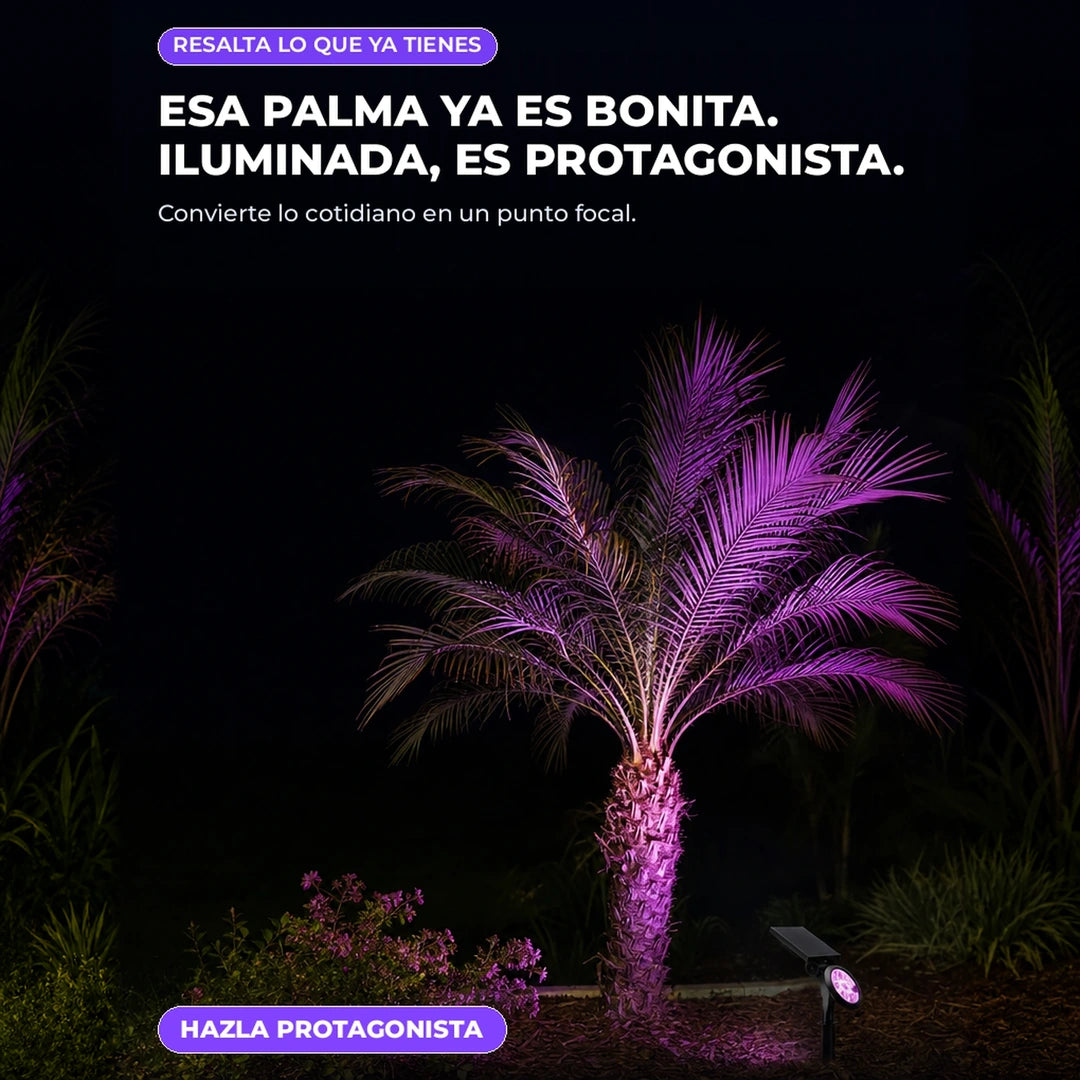 Reflector Solar Multicolor de 9 LED para Jardín