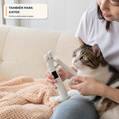 Cuidado de uñas de gato en casa